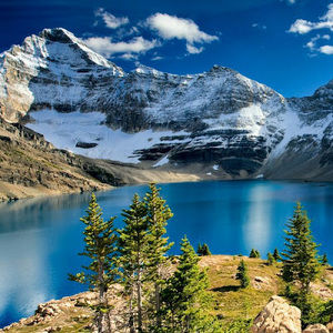 Meet your Posher, Johan